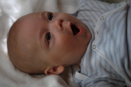 13.6.2010: Nejaký ten detail tváričky