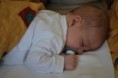 /album/fotogaleria/a2010-04-26-2-jpg/
