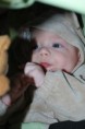 /album/fotogaleria/a2010-05-18-3-jpg/