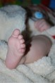 /album/fotogaleria/a2010-05-18-6-jpg/